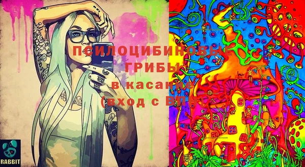 дурь Магадан