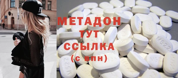 стаф Аркадак