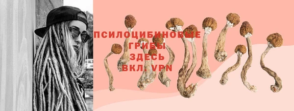 а пвп мука Магас
