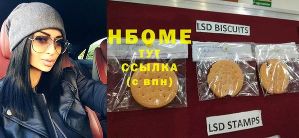 шишки Снежногорск