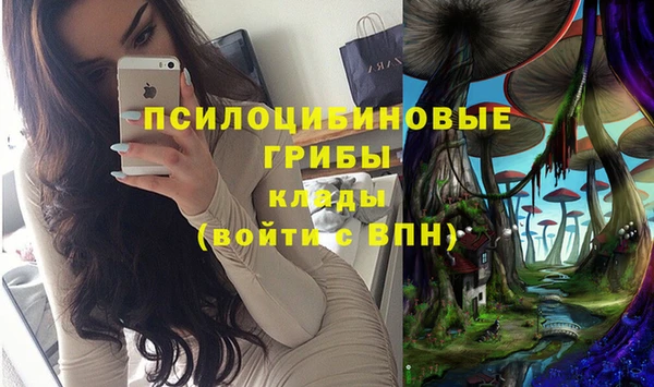 дурь Магадан