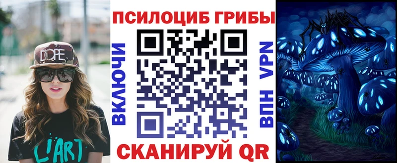 Псилоцибиновые грибы Psilocybe  купить закладку  Сычёвка 